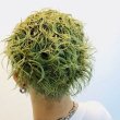 画像6: Botanical Green B47 ボタニカルグリーンカラーワックス（緑）36g 【日本製】【無香料】【シャンプーでサッと洗い流せる１日派手髪】 (6)
