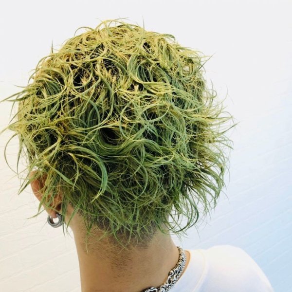 画像6: Botanical Green B47 ボタニカルグリーン カラーワックス 緑 36g 【日本製】【無香料】【シャンプーでサッと洗い流せる1日派手髪】 (6)