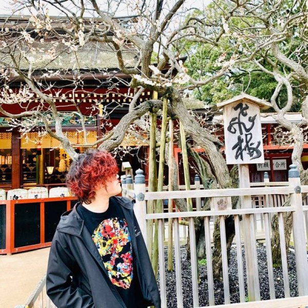 画像7: Lava Red L73 ラヴァレッド カラーワックス 濃赤 36g 【日本製】【無香料】【シャンプーでサッと洗い流せる１日派手髪】 (7)