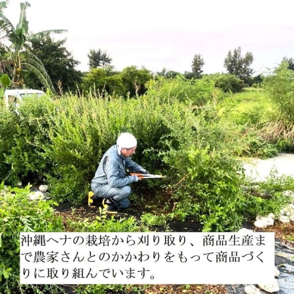 画像8: 沖縄ヘナ・ヘアカラー＆トリートメント オーガニック ヘナ ダメージヘア 無添加 敏感肌 自然由来 ギフト【沖縄産】 ホヌアサーフライダー by EMAJINY (8)