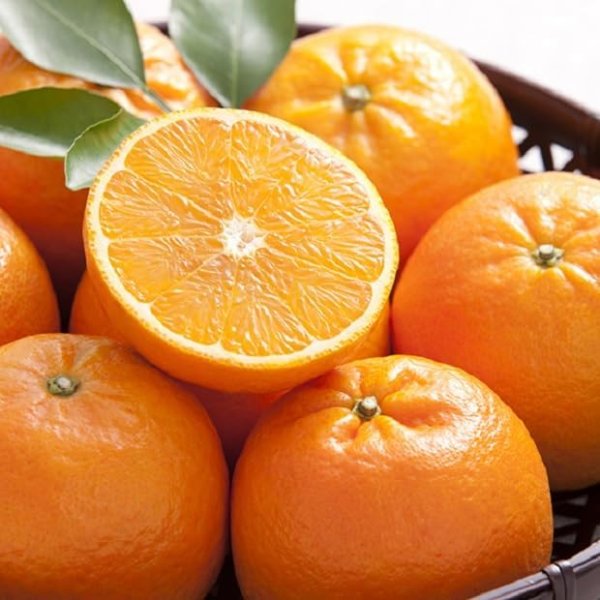 画像4:  タンカン シャンプーバー 枠練固形石鹸 コールドプロセス 沖縄産 果実エキス by EMAJINY  (4)