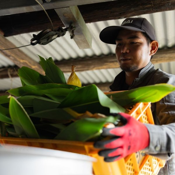 画像6: 月桃 シャンプーバー 枠練固形石鹼 コールドプロセス 石垣島産 by EMAJINY  (6)