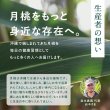 画像5: 沖縄 月桃美人 沖縄の自然が育んだこだわりの月桃パウダー | 沖縄ハーブ 沖縄県産の月桃の力をそのまま活かし 現地工場で丁寧に製造 自然そのままをお届けします by EMAJINY  (5)