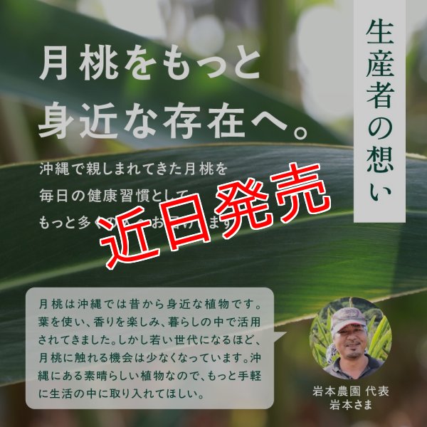 画像5: 沖縄 月桃美人 沖縄の自然が育んだこだわりの月桃パウダー | 沖縄ハーブ 沖縄県産の月桃の力をそのまま活かし 現地工場で丁寧に製造 自然そのままをお届けします by EMAJINY  (5)