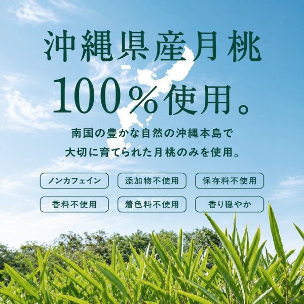 画像4: 沖縄 月桃美人 沖縄の自然が育んだこだわりの月桃パウダー | 沖縄ハーブ 沖縄県産の月桃の力をそのまま活かし 現地工場で丁寧に製造 自然そのままをお届けします by EMAJINY  (4)