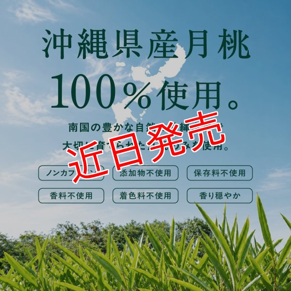 画像4: 沖縄 月桃美人 沖縄の自然が育んだこだわりの月桃パウダー | 沖縄ハーブ 沖縄県産の月桃の力をそのまま活かし 現地工場で丁寧に製造 自然そのままをお届けします by EMAJINY  (4)