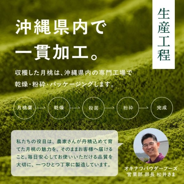 画像6: 沖縄 月桃美人 沖縄の自然が育んだこだわりの月桃パウダー | 沖縄ハーブ 沖縄県産の月桃の力をそのまま活かし 現地工場で丁寧に製造 自然そのままをお届けします by EMAJINY  (6)