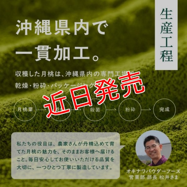 画像6: 沖縄 月桃美人 沖縄の自然が育んだこだわりの月桃パウダー | 沖縄ハーブ 沖縄県産の月桃の力をそのまま活かし 現地工場で丁寧に製造 自然そのままをお届けします by EMAJINY  (6)