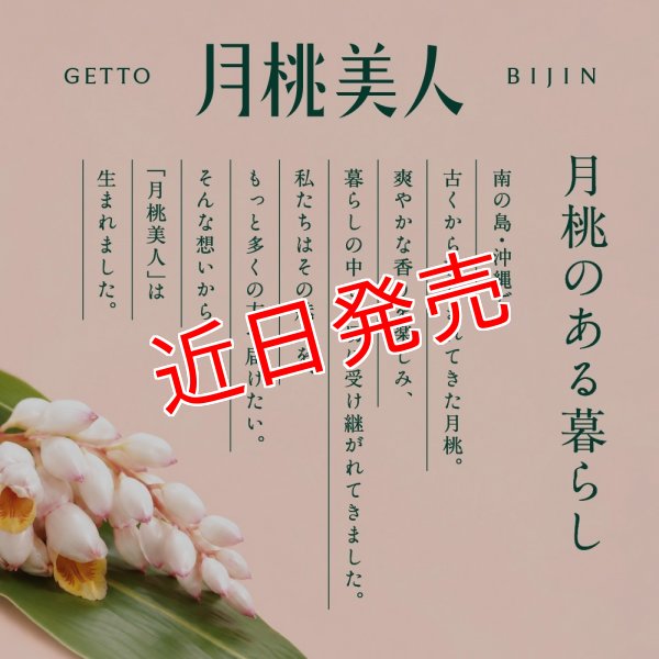 画像2: 沖縄 月桃美人 沖縄の自然が育んだこだわりの月桃パウダー | 沖縄ハーブ 沖縄県産の月桃の力をそのまま活かし 現地工場で丁寧に製造 自然そのままをお届けします by EMAJINY  (2)