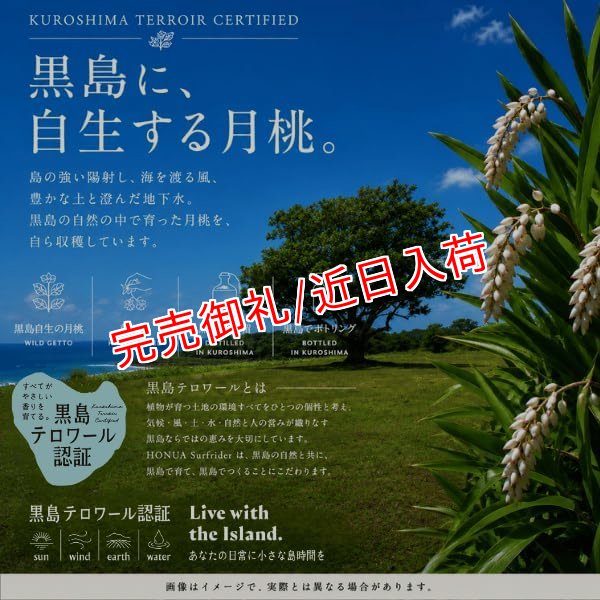 画像3: 黒島 月桃フローラルウォーター リネンスプレー 沖縄県黒島産月桃使用 水蒸気蒸留 150mL by EMAJINY (3)