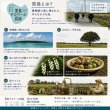 画像6: 黒島 月桃フローラルウォーター リネンスプレー 沖縄県黒島産月桃使用 水蒸気蒸留 150mL by EMAJINY (6)