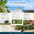 画像7: 沖縄クチャ クレイ洗顔＆泥パック 沖縄本島産海シルト配合 洗顔料 毛穴汚れ 余分な皮脂 角質ケア 2WAY 100g ホヌアサーフライダー by EMAJINY (7)