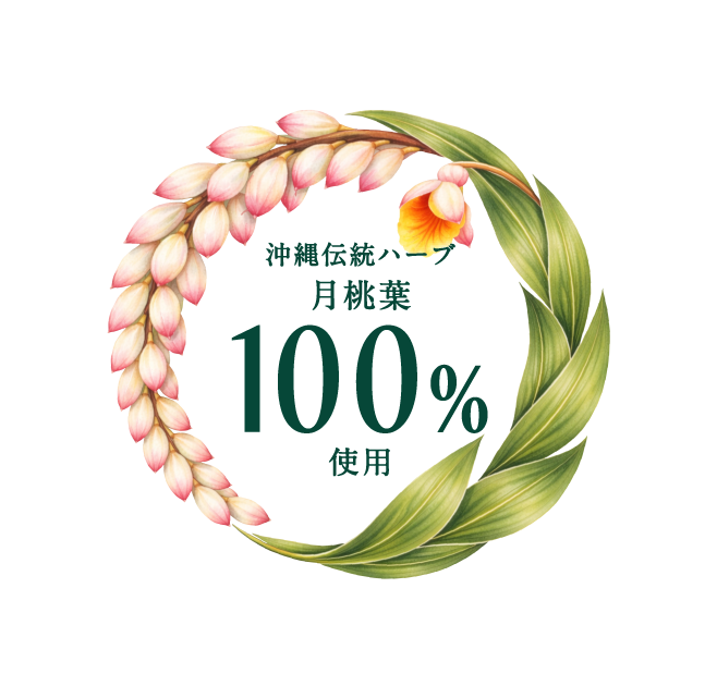 沖縄伝統ハーブ月桃葉100％使用