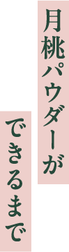 月桃パウダーができるまで